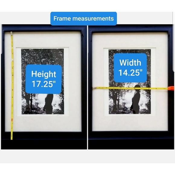 ROBIN RICE ORIGINAL SIGNED 1/25 EQUESTRIAN HORSEBACK RACING FRAMED PHOTOGRAPH - Picture 9 of 12